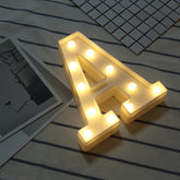 Dry Battery Powered Warm White Standing Hanging LED Holiday Light